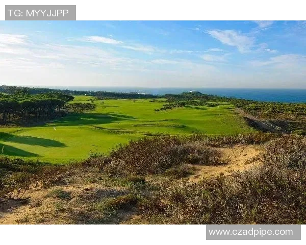 当绿茵巨星开口歌唱球场之外的旋律与激情故事