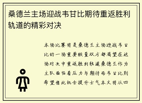 桑德兰主场迎战韦甘比期待重返胜利轨道的精彩对决
